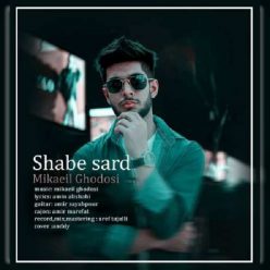 دانلود آهنگ میکائیل قدوسی شب سرد با کیفیت 320